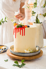 Fruit Cake and Tasty pastry. slice of cake. Raspberry cake. Devils cake. Wedding dessert. Birthday party. Delicious dessert.
