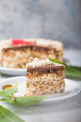 Fruit Cake and Tasty pastry. slice of cake. Raspberry cake. Devils cake. Wedding dessert. Birthday party. Delicious dessert.
