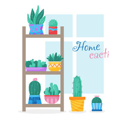 Set of trendy, vector, houseplants in pots for home on the shelves. Cacti on a rack isolated on a white background. Bright flat illustrations. Printing, fabric. textiles, interior. Vector illustration
