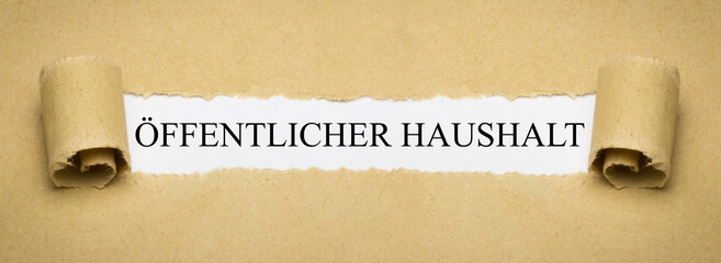 Öffentlicher Haushalt
