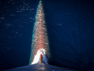 Bugnase eines Containerschiffs