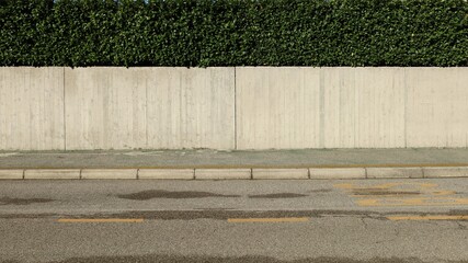 House fence consisting of a concrete wall and a hedge above. Cement sidewalk and asphalt street in...