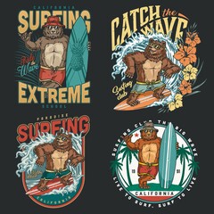 California surfing vintage colorful labels