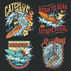 Extreme surfing vintage colorful logos