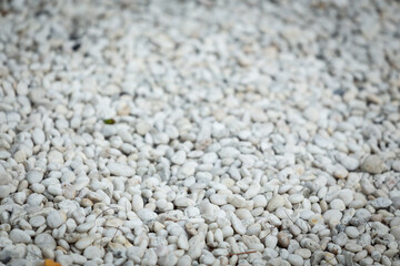 White round pebbles laid on the floor as an image for making the background.