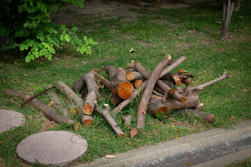 Piles of trees that are pruning trees to be prepared for firewood.