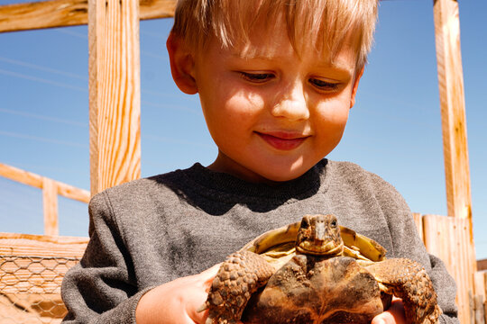 Little boy holding in hands a turtle. Summer sunny day.