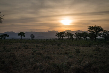 Fototapeta na wymiar sunset in the savannah in Kidepo Valley, Uganda, Africa