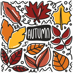 hand drawn autumn leaf doodle set