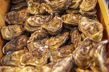 Seafood, Oysters In The Market Hall Of Trouville Sur Mer, Deauville, Normandy, France
