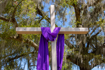 Lenten Cross draped in purple in preparation for Easter