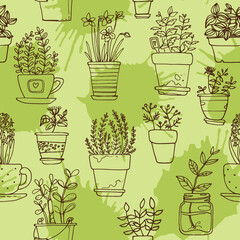 Succulents. Cacti line drawn on a white background. Flowers in the desert. Vektoryny drawing succulents.