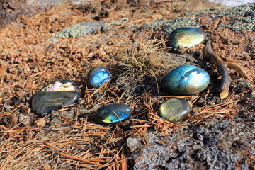 Natural stone labrador (labradorite). Labradorite stone of amazing beauty has an iridescent tint and greenish-gray, dark blue color.