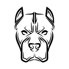 Black and white line art of pitbull dog head. Good use for symbol, mascot, icon, avatar, tattoo, T Shirt design, logo or any design you want.