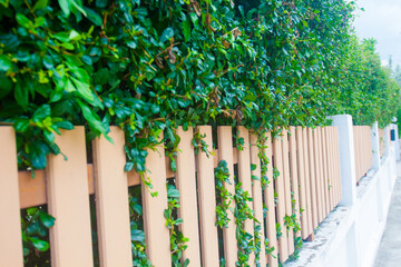 County style long wooden fence