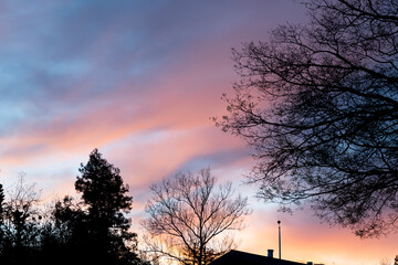 Sunset colors against naked trees and the outline of a rooftop, sunset in the city concept with lots of copy-space