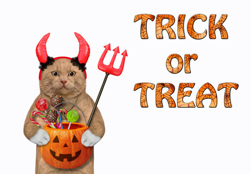 A reddish cat in red horns is holding a devil trident and a pumpkin pail with candies for Halloween. White background. Isolated.
