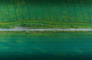 Landscape Road and Nature