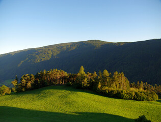 mountain vegetation, green and luxuriant woods, the lung of the earth