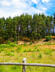 Meadow in forest in Pelcznica National Park. Poland.