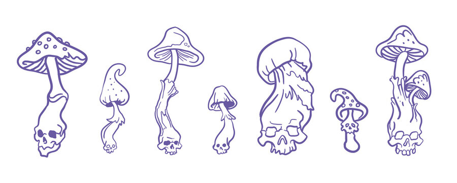 Skulls mushrooms vector outline illustration for halloween magic concept for esoteric design