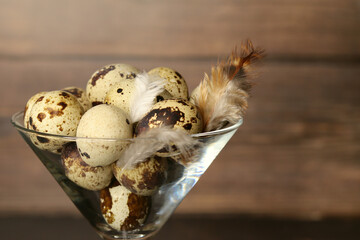 Quail eggs neatly laid for Easter
