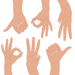 Hands holding phone for communication and technology.