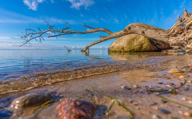 Naturschutzgebiet & Ostseestrand auf Rügen bei Klein Zicker Saalsufer 