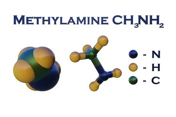 Structural chemical formula and molecular model of methylamine, a simple aliphatic primary amine used as a chemical intermediate in organic synthesis. 3d illustration