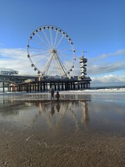 ferris wheel at night