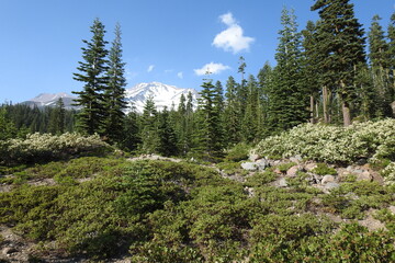 The scenic Mount Shasta wilderness, in Siskiyou County, northern California