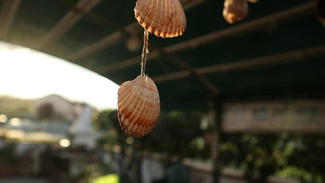 shell necklace moving in the wind at dawn 60fps