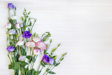 Spring flowers Eustoma