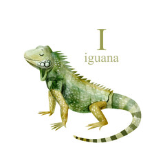 Watercolor illustration of a cute iguana on white background. Cute animal alphabet series A-Z