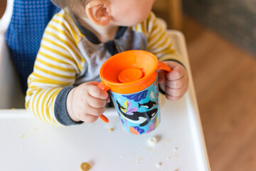 Young toddler drinking water out of a cup with handles while seated in high chair