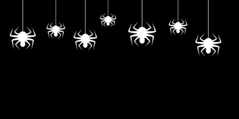 Hanging white spiders on black background. Template, banner, frame, mock up. Vector illustration with space for text for cover, decoration, invitation card, web.