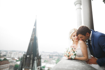 Stylish beautiful wedding couple kissing and hugging on background panoramic view of the old town