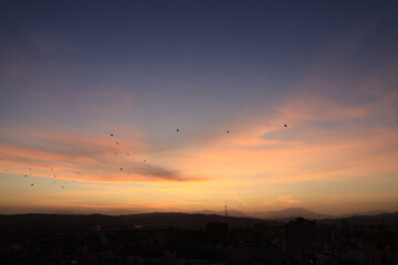 Atardecer con aves volando y cielo rojo con estelas de aviones