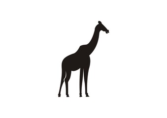 giraffe illustration silhouette