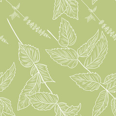 Green color seamless pattern with peppermint plant, mint branches on the seamless background