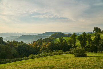 Countryside, summer landscape near Modena, Emilia-Romagna, Italy. 