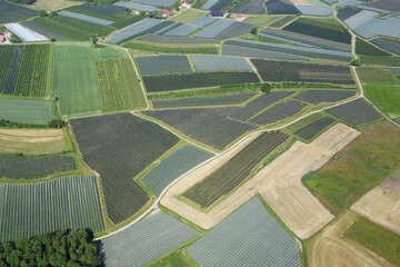 fields and gardens covered with protective net. aerial photography. Germany, near Konstanz