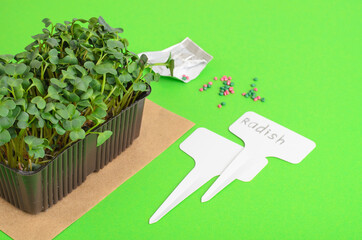 Planting microgreens. Pack with radish seeds. Garden tools for planting plants