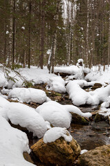 The spring stream flows among pure deep snowdrifts. Melting white snow on the river in springtime