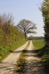 Feldweg