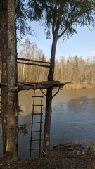 Fototapeta premium river shore 