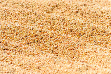 texture of yellow sand background