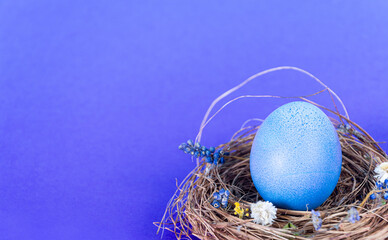 Naklejka na ściany i meble Colorful background with Easter eggs on blue background. Happy Easter concept. Can be used as poster, background, holiday card. Flat lay, top view, copy space. Studio Photo