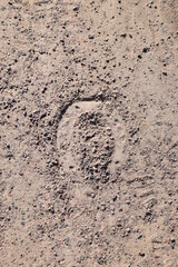 Lucky Horseshoe footprint texture