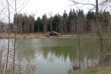Holz/Bäume/Wald